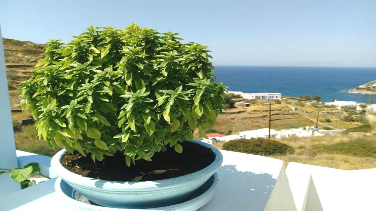 Horizon Blue 호텔 키니언 외부 사진